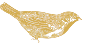 Gold Bird